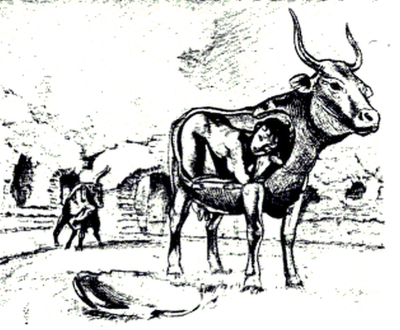 Пасифая, бык, корова, женщина
