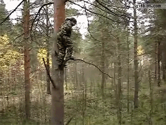 дерево, мужик, прыжок