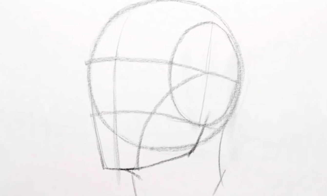 Основы рисунка головы
