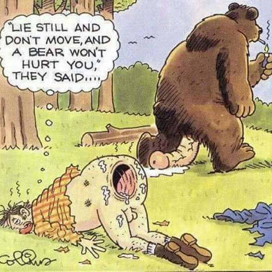 Медведь трахнул в жопу мужика (+картинка)