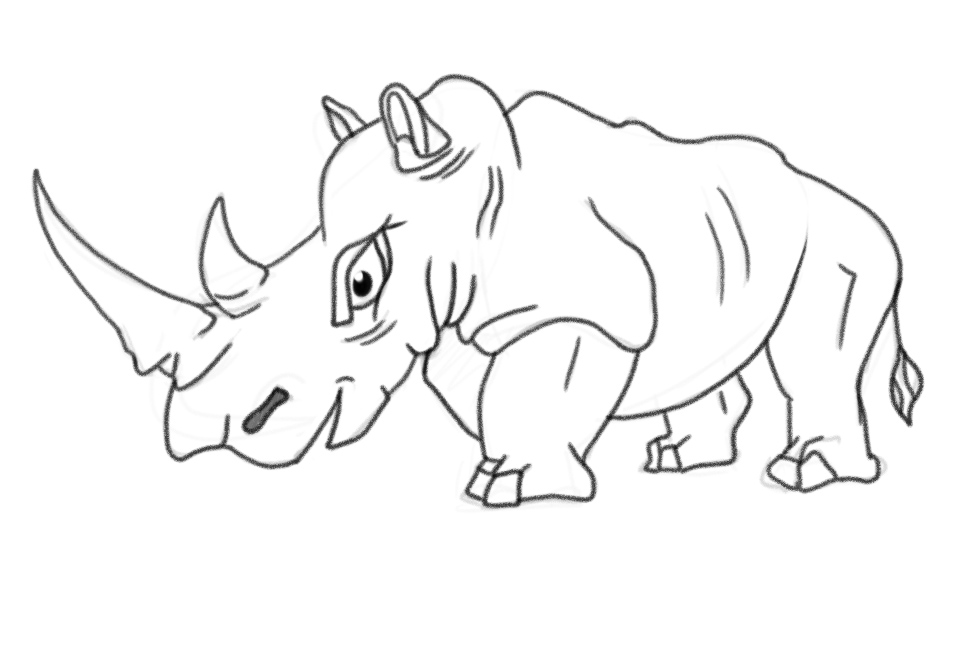 Rhino sketch