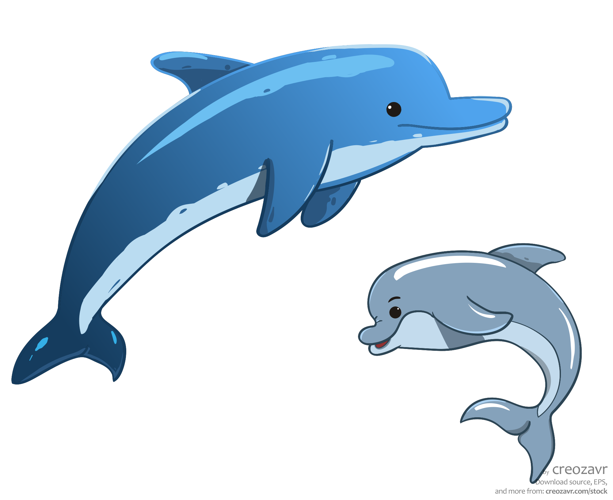 Дельфин и дельфинёнок