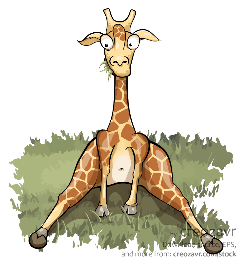 The giraffe sits on grass