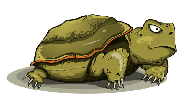 Turtle clipart green