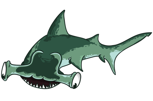 Рыба-молотHammer-head shark