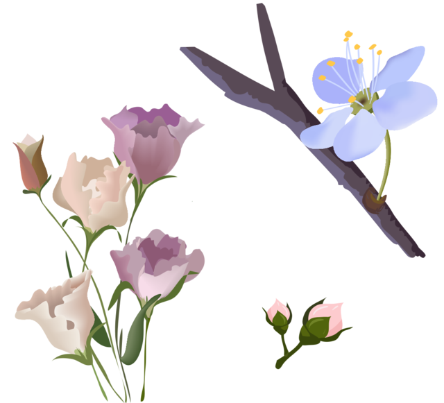 Цветы: лизиантус, эустома