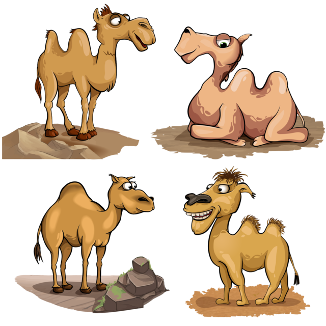 Набор векторных верблюдов
