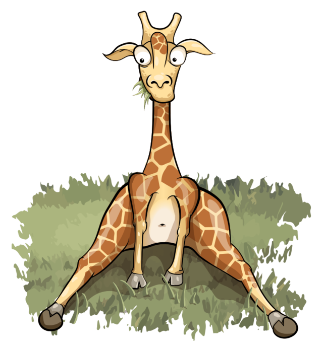 Жираф сидит на траве