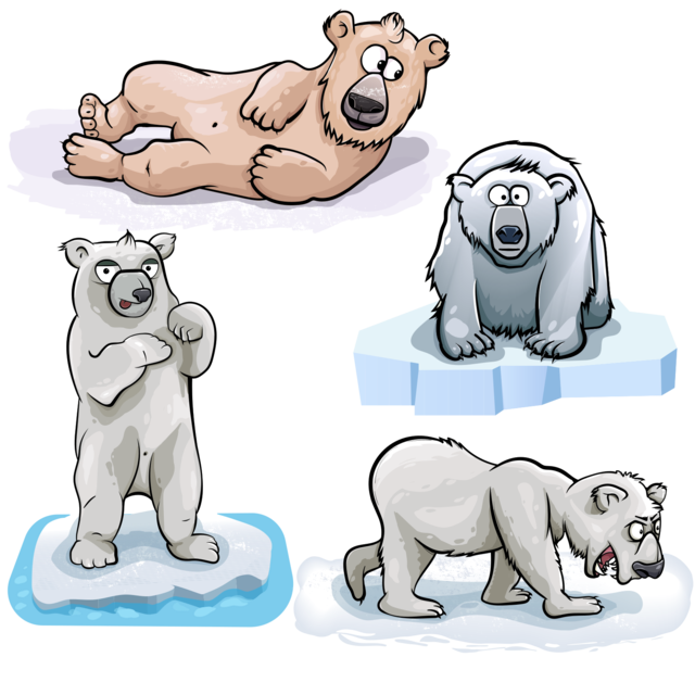 Polar Bears. Animal collections