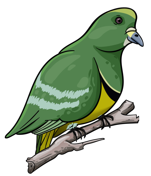 Японский зеленый голубь