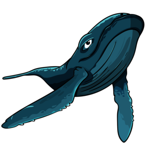 Big blue whale
