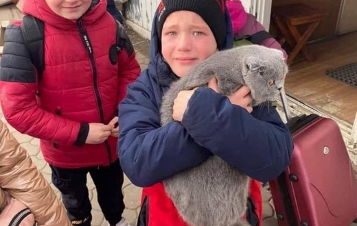 Мальчик потерял свою кошку на границе с Польшей, а затем нашел ее