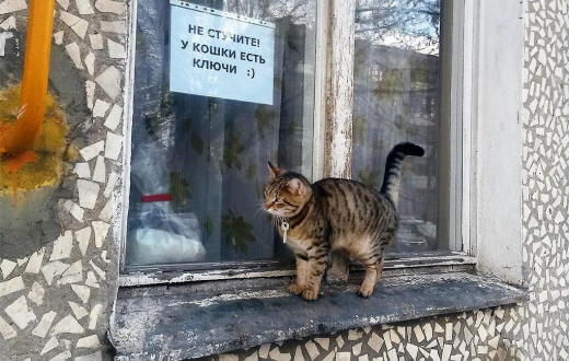 Не стучите, у кошки есть ключи