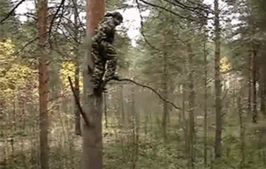 дерево, мужик, прыжок