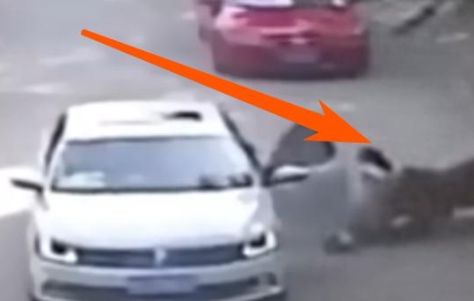 Женщина вышла из машины и её сожрал тигр