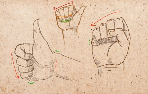Как нарисовать кисть руки человека