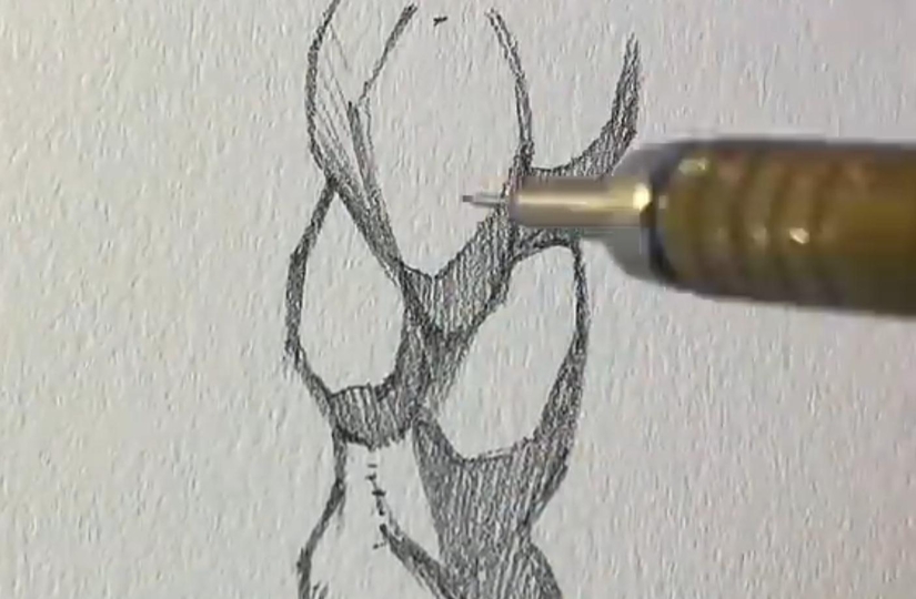 Как рисовать руку спереди