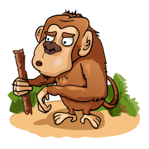 Macaque with the stick