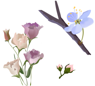 Цветы: лизиантус, эустома