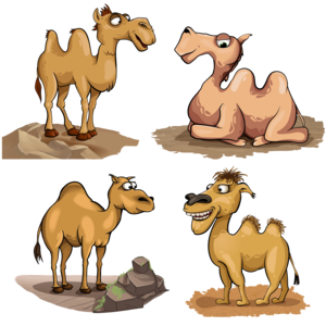 Набор векторных верблюдов