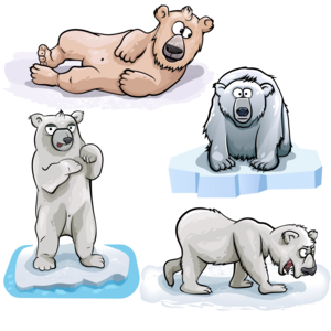 Polar Bears. Animal collections