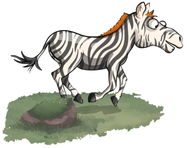 Joyful zebra galloping