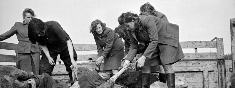 Женщины из охраны СС концлагеря Берген-Бельзен разгружают трупы узников