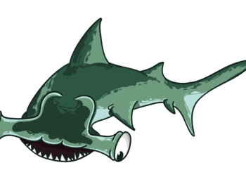 Рыба-молотHammer-head shark